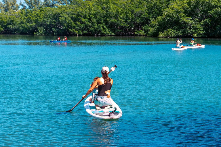 Miami: Alquiler de Paddle Board o Kayak - PADL Beach ClubMiami: Alquiler de Kayak Tándem - PADL Beach Club