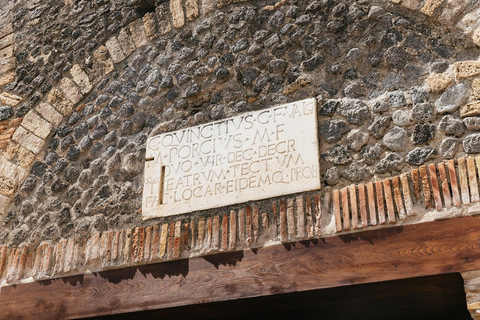 From Naples: Pompeii Shore Excursion for Cruisers with Guide From Pompeii: Guided Tour + Entry Ticket