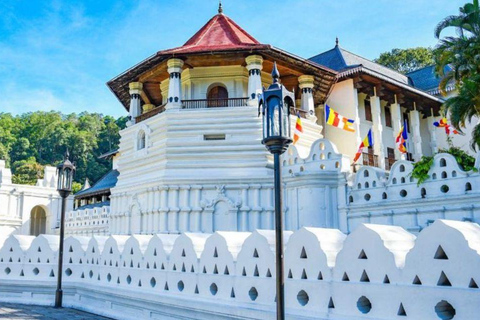 Kandy: Visita a la ciudad con todo incluido