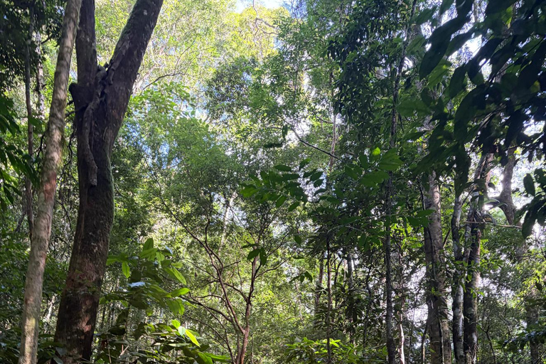 Rio's Hidden Gems: Waterfalls, Caves, and Wildlife