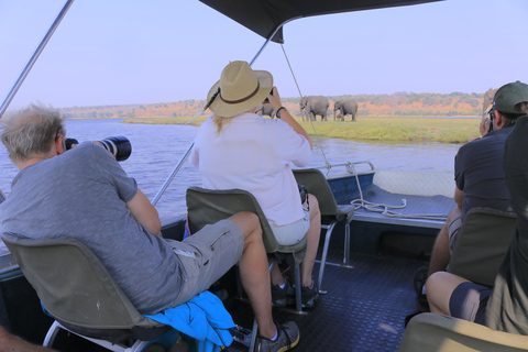 Salt Pans &amp; Delta: Tour with game drives, mokoro &amp; boat trip