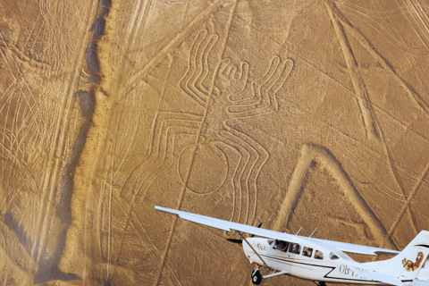 Lima: Paracas, Huacachina, and Nazca Lines Flight (2 days)