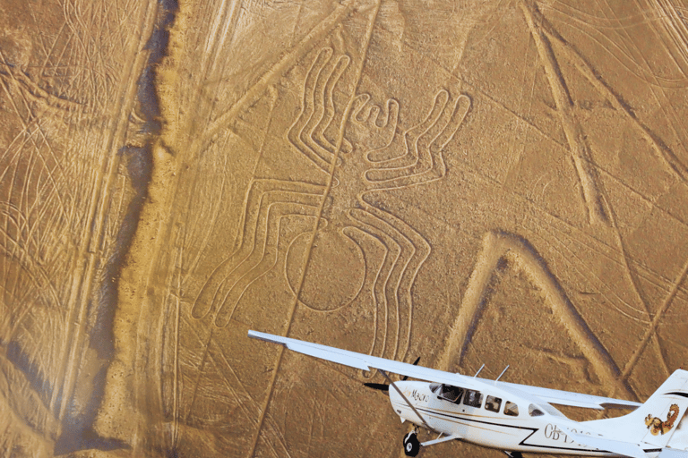 Lima: Paracas, Huacachina, and Nazca Lines Flight (2 days)
