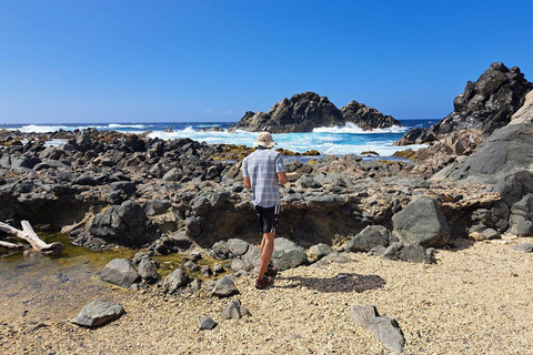 Aruba : Piscine naturelle, grottes et aventure en jeep sur la plage de Baby Beach