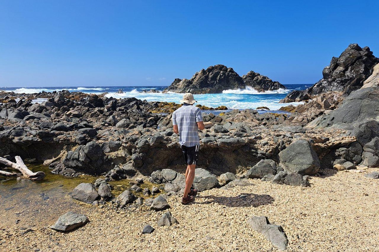 Aruba: Naturlig pool, grottor och Baby Beach Jeepäventyr