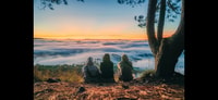 Da lat, achtervolgt de zonsopgang boven Misty Valley - ontbijt i - Housity