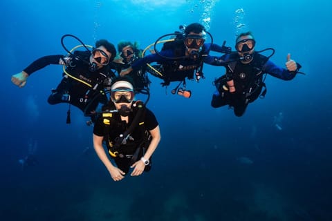 Koh Tao: Try Scuba Diving Experience with Hotel Pickup and 2 Dives - Image 2