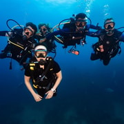 Koh Tao: Try Scuba Diving Experience with Hotel Pickup and 2 Dives Koh Tao: Try Scuba Diving Experience with Hotel Pickup and 2 Dives