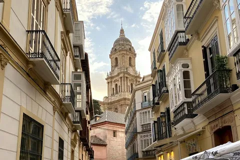 Från Sevilla: Privat utflykt till Malaga med entréavgifter till monument