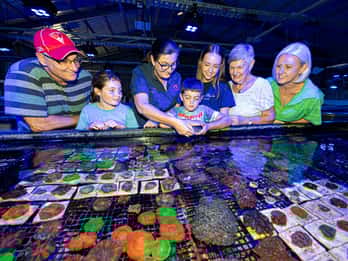 Bundaberg : Visite guidée de la ferme corallienne Monsoon Aquatics