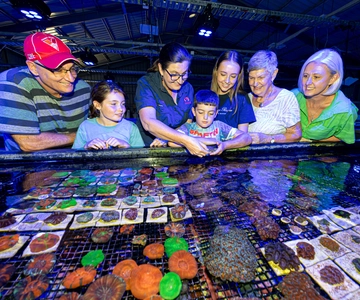 Bundaberg : Visite guidée de la ferme corallienne Monsoon Aquatics