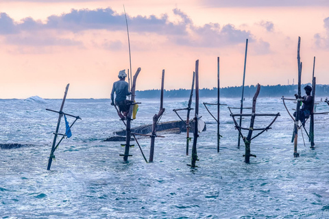 Au départ d&#039;Ella : Galle / Mirissa / Tangalle Transfert avec Safari