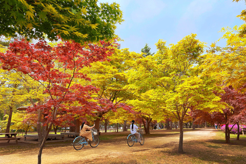 Seoul: Hidden Autumn Foliage, Cafe Pokpo, Nami Island & More D. Autum Foliage & Cafe POKPO & Eunpyeong Hanok& Haneul Park