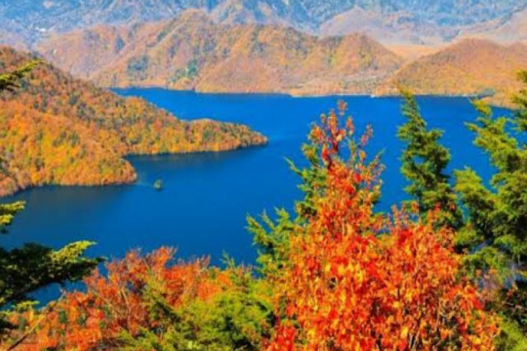 From Tokyo: Nikko UNESCO Sites Private English Guided Tour