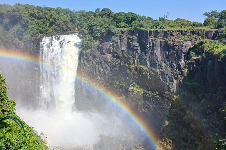 Victoria Falls Zimbabwe: Mosi-oa-Tunya Walk with Local Guide