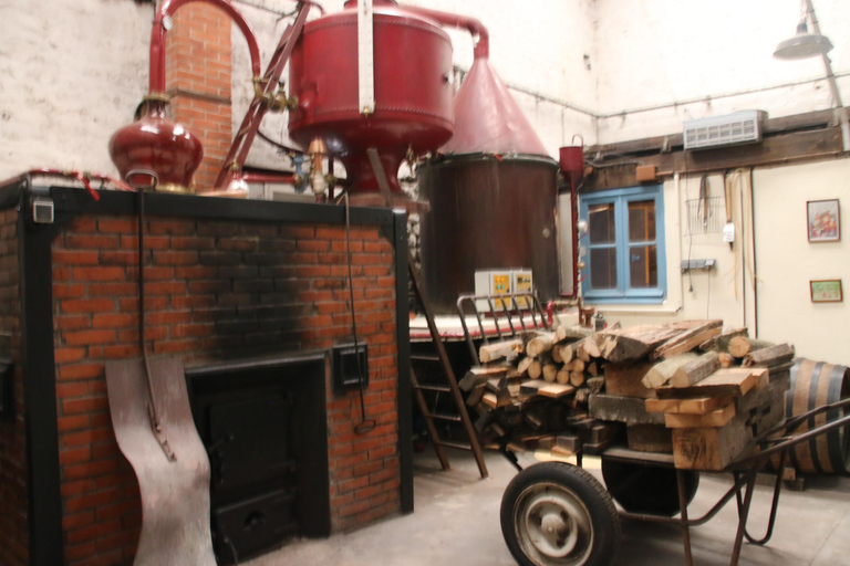 Privé rondleiding Dag in het hart van de Cognac wijngaarden