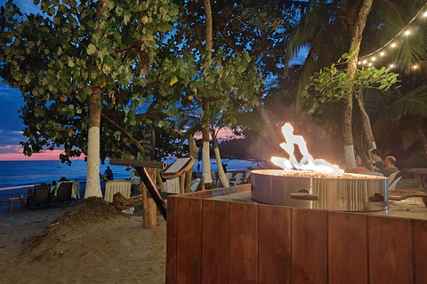 Private Tour Manuel Antonio Beach Club & Wildlife Day Trip