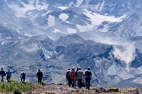 Da Portland: Esplora il Monte Sant&#039;Elena in un piccolo gruppo