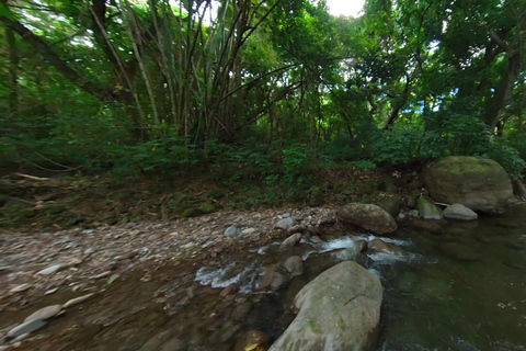 VISITE D&#039;UNE JOURNÉE DE LA CÔTE NORD DES CARAÏBES ET DE LA FORÊT TROPICALE