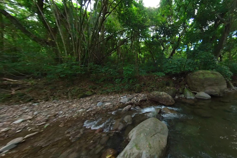 VISITE D&#039;UNE JOURNÉE DE LA CÔTE NORD DES CARAÏBES ET DE LA FORÊT TROPICALE