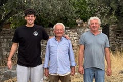 Das Jahr des Olivenbaums: Spaziergang, Oliven & Verkostung in Kalamata