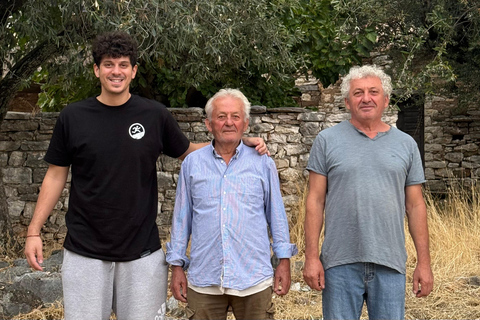 Oliwa z oliwek w Kalamacie: sztuka greckiego złotaOliwa z oliwek z Kalamaty: sztuka greckiego złota