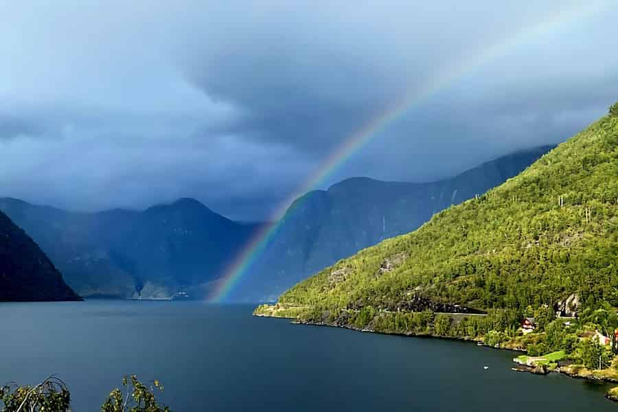 Flåm: Panorama-Bustour zum Aussichtspunkt Stegastein. Foto: GetYourGuide