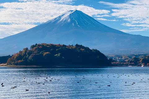 From Tokyo: Mount Fuji Private Tour With English Guide Route 2 Mount Fuji & Hakone: Full day customized Tour