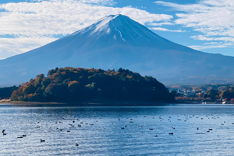 From Tokyo: Mount Fuji Private Tour With English Guide Route 2 Mount Fuji & Hakone: Full day customized Tour