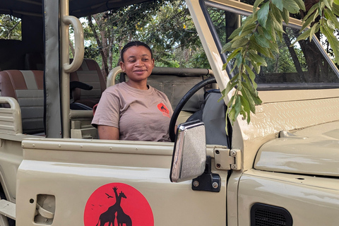 Arusha: 4 giorni di safari nel Serengeti e nel cratere del NgorongoroSafari privato