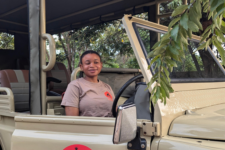 Arusha: 4 giorni di safari nel Serengeti e nel cratere del NgorongoroSafari privato