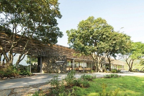 Jeju: Private Shore Excursion for Cruise Guests– West&South Seogwipo Gangjeong Port