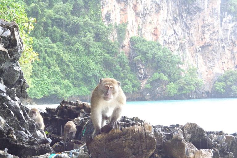 From Phi Phi: Full day Phi Phi Island tour by speed boat.