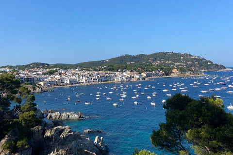 Barcelona: Private Trip, Girona, Medieval Town, Coast & Wine Private Day Trip