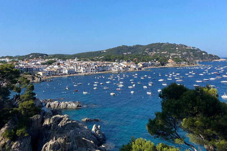 Barcelona: Private Trip, Girona, Medieval Town, Coast & Wine Private Day Trip