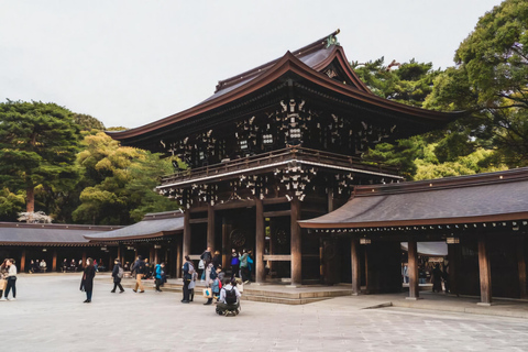 Tokyo, Mt. Fuji, Kyoto, Osaka: 7-Day Private Tour of Japan