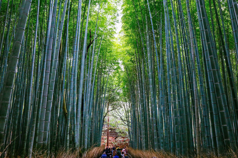 Kyoto : Visite privée d&#039;Arashiyama avec le train romantique de SaganoVisite privée avec trajet en train