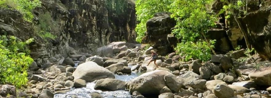 Kauai : Visite privée du Waimea Canyon & Kokeʻe State Park