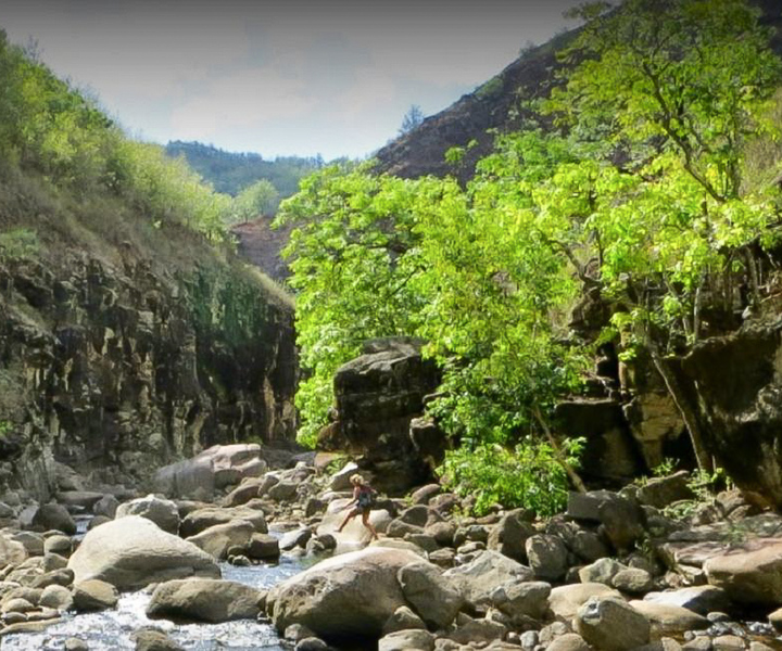 Kauai: Waimea Canyon & Kokeʻe State Park Private Tour