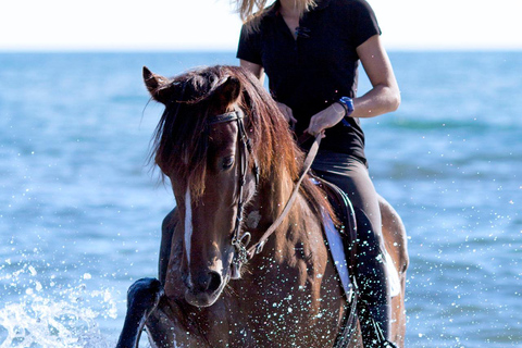 Menorca: Horseback Ride to Cala Fustam Beach and Swim