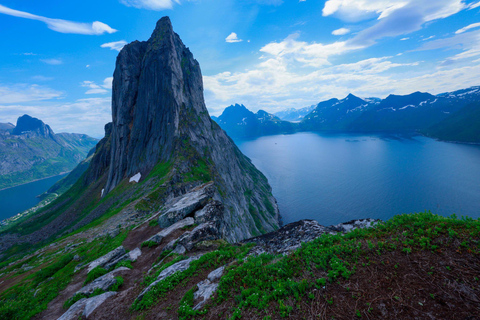 From Tromsø: Senja Day Trip