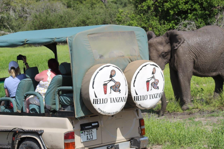 Selous : Un safari hors route d&#039;une journée au départ de Zanzibar