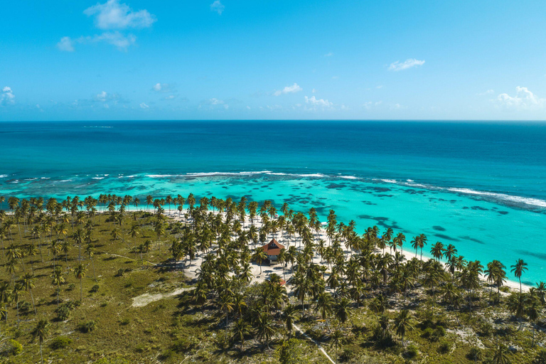 Punta Cana: Three Treasures of Saona, Palmilla, Pueblo & Canto de la Playa