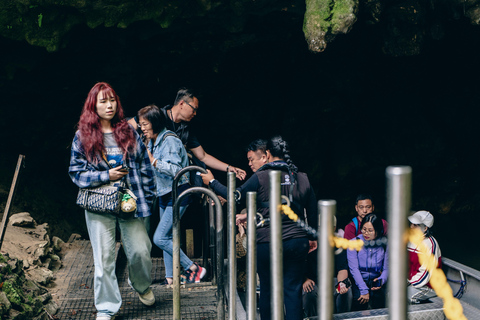 Au départ d&#039;Auckland : Visite des grottes de Waitomo avec transfert