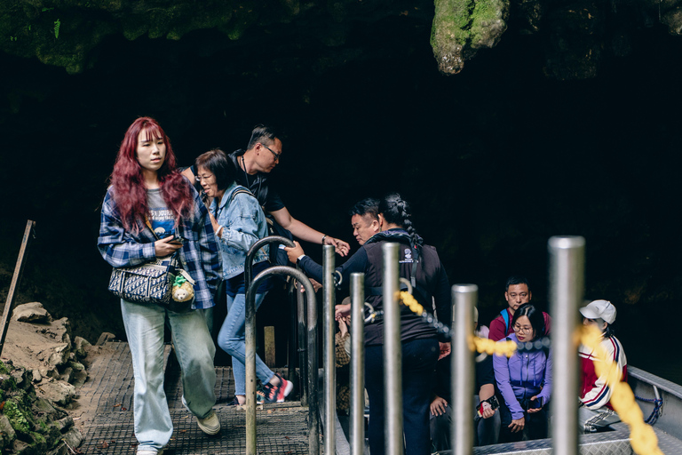 Z Auckland: Waitomo Glowworm Caves Tour z transferem