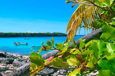 Punta Cana of La Romana: Toer en snorkelen op Catalina EilandVan La Romana of Bayahibe