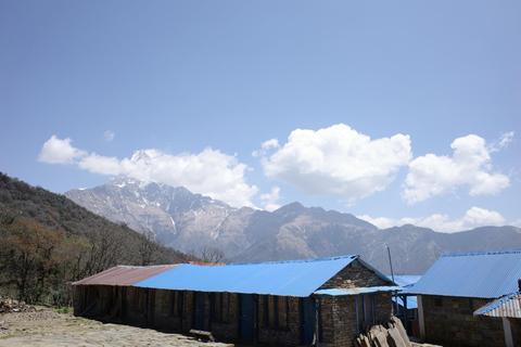 Da Kathmandu: trekking guidato di 6 giorni al Campo Base del Mardi Himal