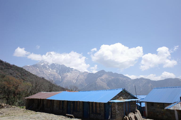 Desde Katmandú: Excursión guiada de 6 días al Campo Base del Mardi Himal