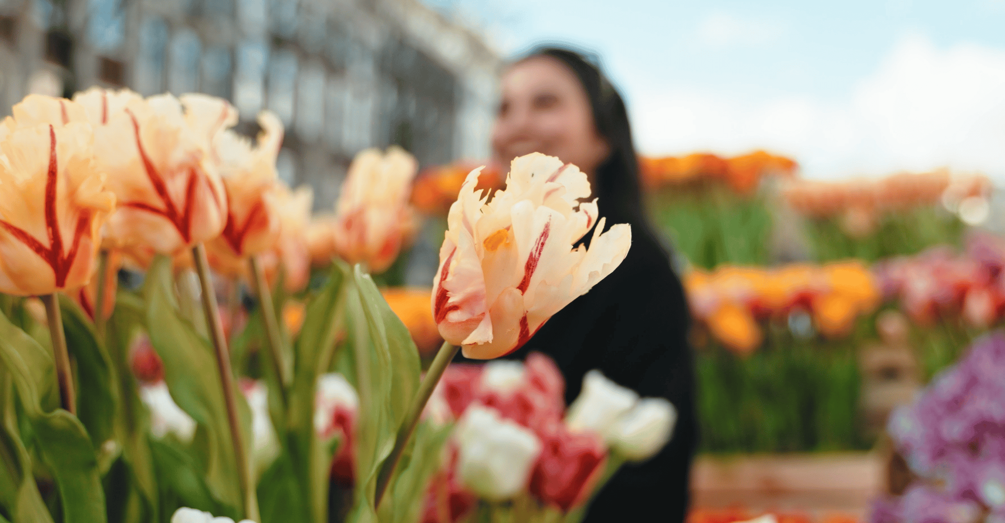 Amsterdam: Premium Tulip Boat Canal Tour photo 7