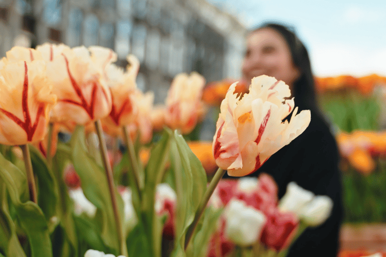 Amsterdam : Premium Tulip Boat Canal TourVisite des tulipes depuis la Maison d&#039;Anne Frank